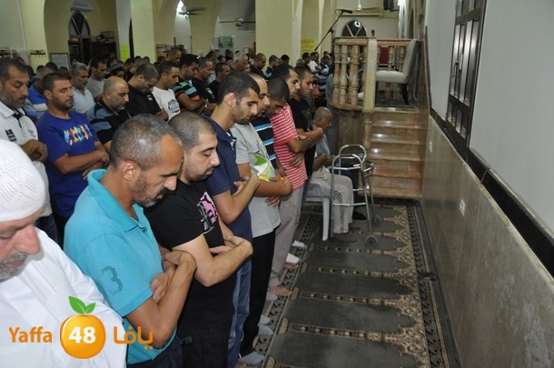 tarawee7 jablaiya (17).JPG